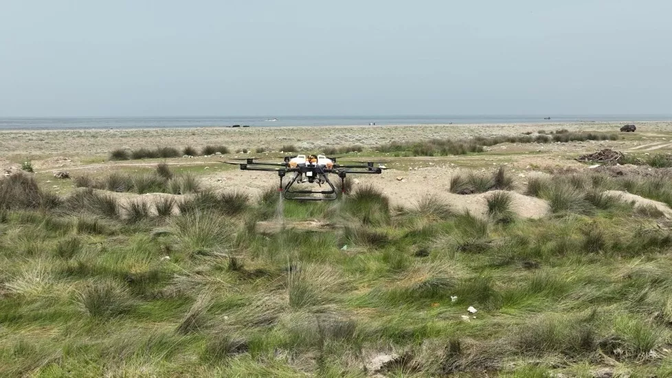 Mustafa Bozbey - SİNEKLE MÜCADELEDE DRONE DÖNEMİ - Özellikle yaz aylarında önemli bir halk sağlığı sorunu olarak ortaya çıkan sinekle mücadele çalışmalarında Sağlık Bakanlığı tarafından Türkiye'de ilk kez onaylanan drone ile ilaçlama hizmetini uygulamaya başladık. Tarım Peyzaj A.Ş. ile birlikte 17 ilçede drone teknolojisi ile çalışmalarımızı sürdürüyor, ulaşılması zor noktalarda havadan yapılan ilaçlama ile etkili bir mücadele yürütüyoruz.